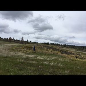 Meet your Posher, Rachael